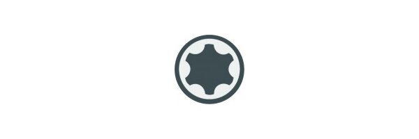 T-Profil (für Torx)