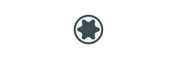 TS-Profil (für Torx Plus)