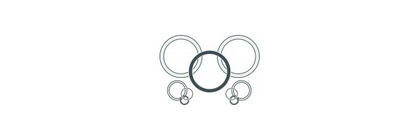 Dichtringe / O-Ringe