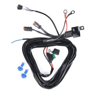 Kabelbaum mit Schalter Pureux Pro Serie 12V, DT-2