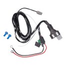 Kabelbaum Purelux Dualrelay 12V, DTP, 1 Ausgang (DTP)