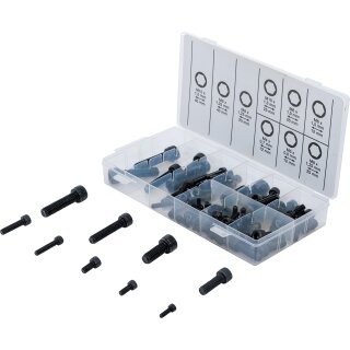 Zylinderschrauben-Sortiment | Innensechskant | 106-tlg.