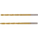 Spiralbohrer | HSS-G | titan-nitriert | 2,5 mm | 2-tlg.