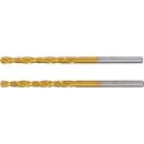 Spiralbohrer | HSS-G | titan-nitriert | 3,0 mm | 2-tlg.