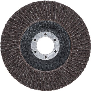 Fächer-Schleif-Scheibe | Ø 115 mm | K 40