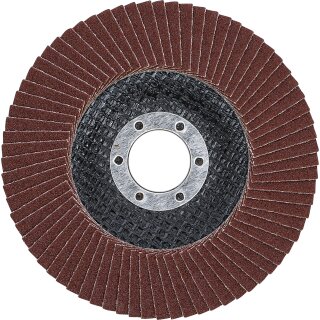 Fächer-Schleif-Scheibe | Ø 115 mm | K 120