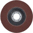 Fächer-Schleif-Scheibe | Ø 115 mm | K 120