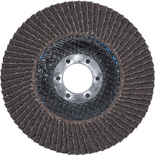 Fächer-Schleif-Scheibe | Ø 115 mm | K 60