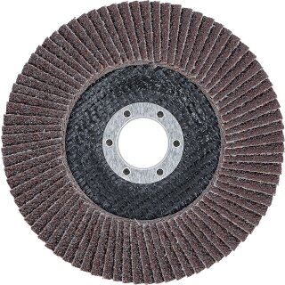 Fächer-Schleif-Scheibe | Ø 125 mm | K 40