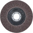 Fächer-Schleif-Scheibe | Ø 125 mm | K 40