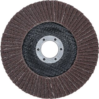 Fächer-Schleif-Scheibe | Ø 125 mm | K 60