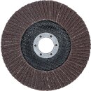Fächer-Schleif-Scheibe | Ø 125 mm | K 60
