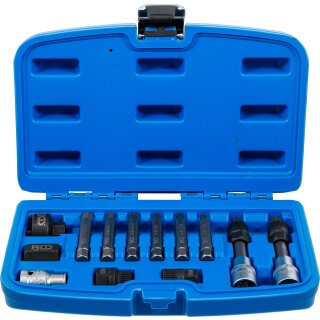 Lichtmaschinen Bit-/Bit-Einsatz-Satz | Antrieb 12,5 mm (1/2") | 13-tlg.
