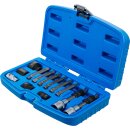 Lichtmaschinen Bit-/Bit-Einsatz-Satz | Antrieb 12,5 mm (1/2") | 13-tlg.