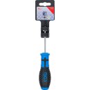 Schraubendreher | T-Profil (für Torx) T9 | Klingenlänge 80 mm