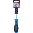 Schraubendreher | T-Profil (für Torx) T10 | Klingenlänge 80 mm