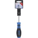Schraubendreher | T-Profil (für Torx) T15 |...