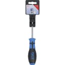 Schraubendreher | T-Profil (für Torx) T15 | Klingenlänge 80 mm