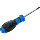 Schraubendreher | T-Profil (für Torx) T20 | Klingenlänge 80 mm