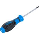 Schraubendreher | T-Profil (für Torx) T25 | Klingenlänge 100 mm