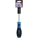 Schraubendreher | T-Profil (für Torx) T27 |...