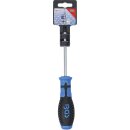 Schraubendreher | T-Profil (für Torx) T30 |...
