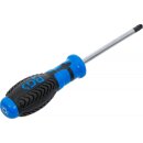 Schraubendreher | T-Profil (für Torx) T30 | Klingenlänge 100 mm
