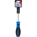 Schraubendreher | T-Profil (für Torx) T30 | Klingenlänge 100 mm