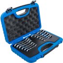 Ratschenring-Maulschlüssel-Satz | kurz | abwinkelbar | SW 8 - 19 mm | 12-tlg.