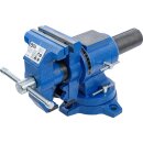 Parallel-Schraubstock | 100 mm Spannbacken | 360°...