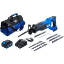 Akku-Säbelsägen-Satz | bürstenlos | 18 V |...