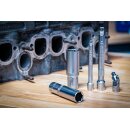 Steckschlüssel-Satz Wellenprofil | Antrieb 6,3 mm (1/4") / 12,5 mm (1/2") | 150-tlg.