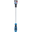 Schraubendreher | T-Profil (für Torx) T25 | Klingenlänge 250 mm