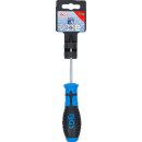 Schraubendreher | T-Profil (für Torx) mit Bohrung T10 | Klingenlänge 80 mm