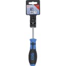 Schraubendreher | T-Profil (für Torx) mit Bohrung T15 | Klingenlänge 80 mm