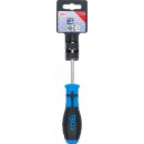 Schraubendreher | T-Profil (für Torx) mit Bohrung T20 | Klingenlänge 80 mm