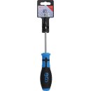 Schraubendreher | T-Profil (für Torx) mit Bohrung...