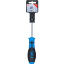 Schraubendreher | T-Profil (für Torx) mit Bohrung...