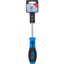 Schraubendreher | T-Profil (für Torx) mit Bohrung...