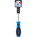 Schraubendreher | T-Profil (für Torx) mit Bohrung T30 | Klingenlänge 100 mm