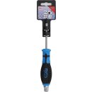 Schraubendreher, Klinge mit Sechskant-Profil |...