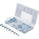 Schmiernippel-Sortiment | 110-tlg.