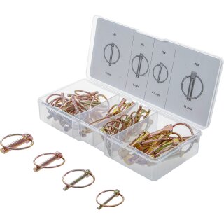 Klappsplinte-Sortiment | 50-tlg.