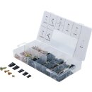 Karosserie-Blechmuttern- und Schrauben-Sortiment | 170-tlg.