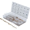 Einpressmuttern-Sortiment | Messing | 330-tlg.