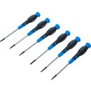 Präzisions-Schraubendreher-Satz | 6-tlg.