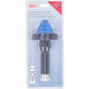 Einstellbarer Lagerring- und Radialdichtring-Eintreiber