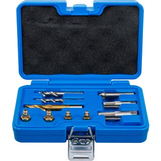 Universal-Reparatur-Satz | für Bremssattel-Entlüftungsventile | 1/4" & 1/8" NPT