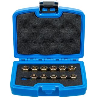Injektor-Verschlussstopfen-Satz | 12-tlg.