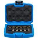 Injektor-Verschlussstopfen-Satz | 12-tlg.